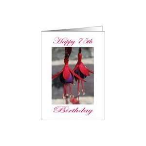    Happy 75th Birthday Purple and Red Flower Card: Toys & Games