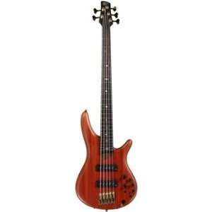   Limited Edition 5 String Bass Guitar with Gig Bag: Musical Instruments