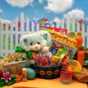 Bunny Hugs Easter Gift Basket for Boys  Grocery & Gourmet 