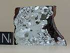 meteorite squaw creek rare texas iron iiab anom nice perfect