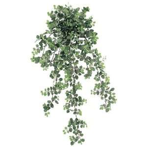 34 Peperomia Silk Hanging Plant  1,264 Leaves   Frosted Green (case 