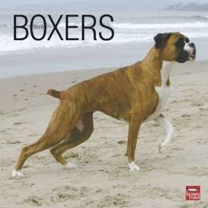  Boxers 2010 Wall Calendar: Office Products