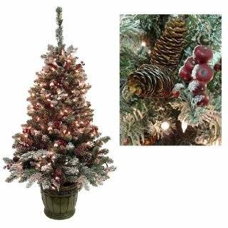Pre Lit Frosted Hawthorne Fir Potted Artificial Christmas Tree 