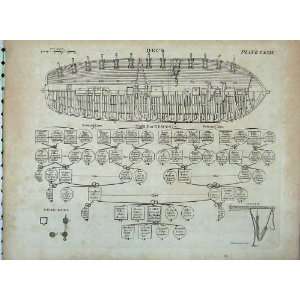   : Encyclopaedia Britannica Ship Deck Plan Family Tree: Home & Kitchen