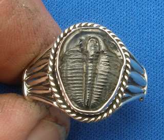 Trilobite Ring, Sterling Silver, Elrathia kingi, Utah  