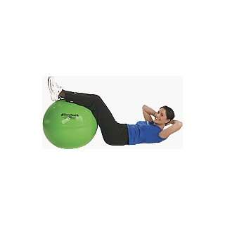  Thera Band Standard Exercise Ball Silver: Health 
