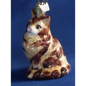  Maine Coon Cat Glass Ornament: Home & Kitchen