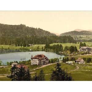 Vintage Travel Poster   On the lake Titisee Black Forest Baden Germany 
