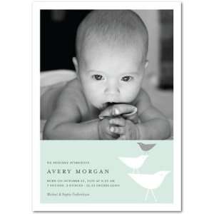   Announcements   Playful Birdies Aloe By Le Papier Boutique Baby