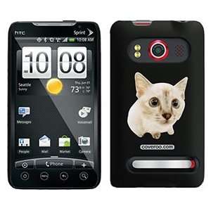  Munchkin on HTC Evo 4G Case  Players & Accessories