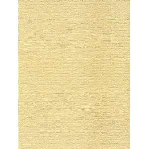   Washington Wallcovering texture Digest tD42592