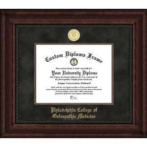 Philadelphia College of Osteopathic Medicine   Gold Medallion   Suede 