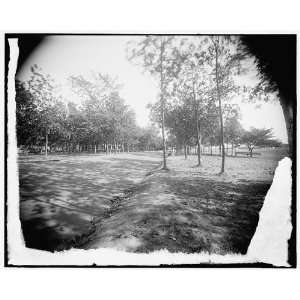   : Road,probably in Bois Blanc Park,Bois Blanc Island: Home & Kitchen