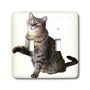  Florene Cats   Gray Tabby   Light Switch Covers   double 