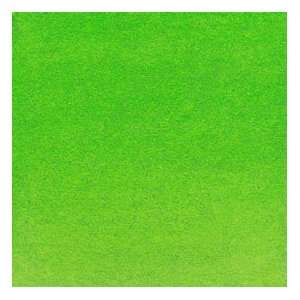   Colors Bright Yellow Green (Opaque) 1 fl oz: Arts, Crafts & Sewing