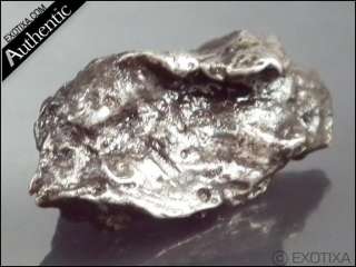 53g. SIKHOTE ALIN IRON METEORITE From Russia w/case#mr34  