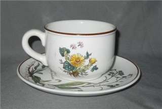 Villeroy & Boch Botanica Cup and Saucer  