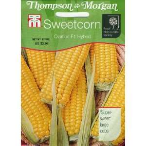  Thompson & Morgan 181 RHS Sweetcorn Ovation F1 Seed Packet 