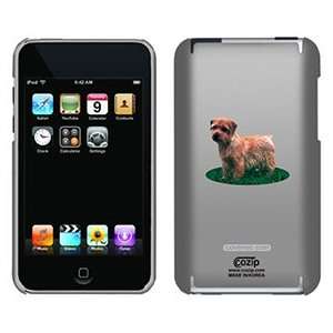  Norfolk Terrier on iPod Touch 2G 3G CoZip Case 
