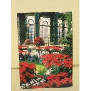2001  Longwood Gardens  Post Card   Christmas At Longwood Gardens