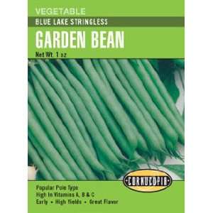  Bush Bean Blue Lake Stringless Seeds: Patio, Lawn & Garden