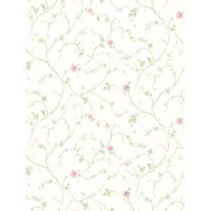  Wallpaper Steves Color Collection Girls BC1581204: Home 