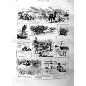 1885 Springbok Hunting South Africa Natives Ostrich: Home 