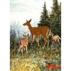  Les Kouba   Deer Stroll Artists Proof