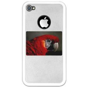   iPhone 4 or 4S Clear Case White Scarlet Macaw   Bird: Everything Else