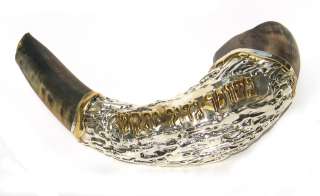 14 Sterling Silver plated Rams Horn Shofar with Gold  