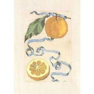  Baroque Fruit   Oranges Poster Print