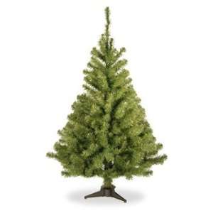  4 Kincaid Spruce Christmas Tree