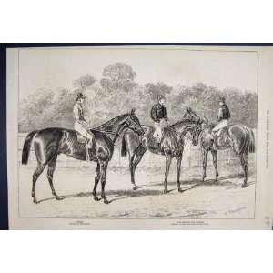 1876 Horses Kisber Enguerrande Camelia Derby Oaks Print 