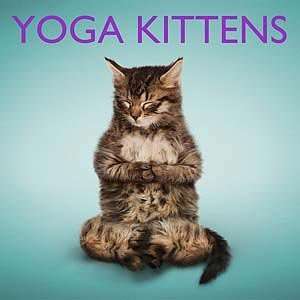  2012 Yoga Kittens Calendar