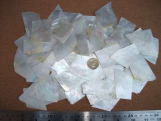 Larger & Thin White Mother of Pearl Flat Slices 25g  