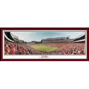  Georgia Bulldogs Sanford Stadium Panoramic Poster: Sports 