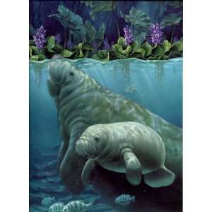  F.X. Schmid 1000 Piece Puzzle Manatee Haven by Sherry 