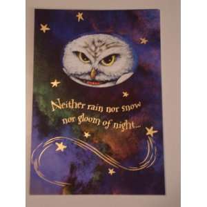   Potter Halloween Fold Out Card with Hedwig: Health & Personal Care