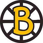 BOSTON BRUINS New Logo Window Wall STICKER Car DECAL