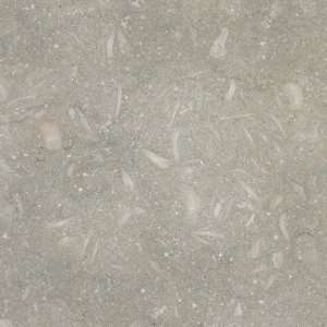  18 x 18 Honed Limestone in Sea Grass