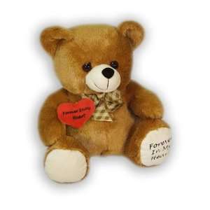    Brown Huggable Memory Teddy Bear Cremation Urn: Home & Kitchen