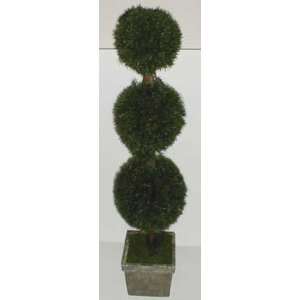  4 Triple Ball INDOOR / OUTDOOR Springerii Topiary: Home 