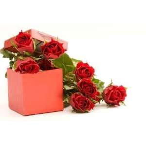  Red Roses in Gift Box, on White Background   Peel and 