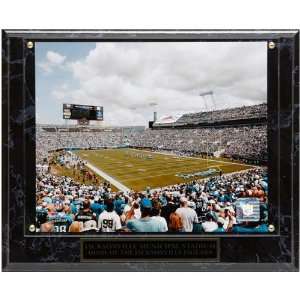  NFL Jacksonville Jaguars 13 x 10.5 Everbank Field Stadium 
