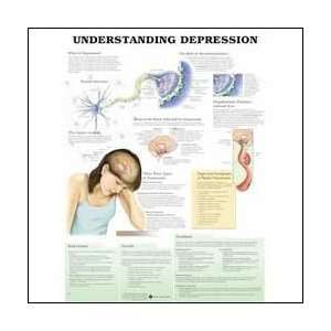  Understanding Depression Anatomical Chart 20 X 26 