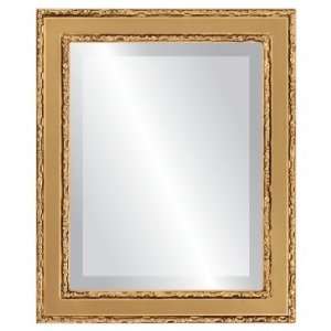  Monticello Rectangle in Desert Gold Mirror and Frame