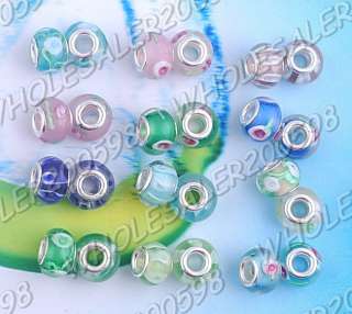 740PCS 148styles Lampwork Glass Spacer Beads 5MM Hole  