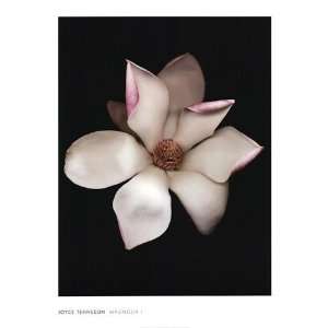    Magnolia I   Poster by Joyce Tenneson (30 x 40)