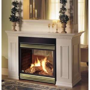   Fireplaces GVF40N2 36 in. See Thru Vent Free Fireplace   Natural Gas