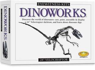 Velociraptor Skeleton Dinosaur Model Science Project  